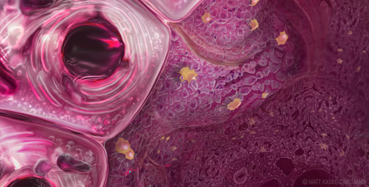 Research & Publications